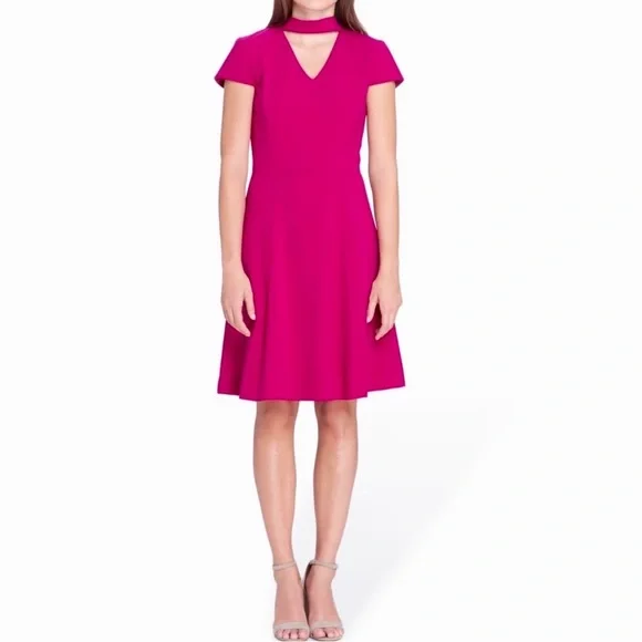Tahari ASL Fit & Flare Choker Dress - Pink 6